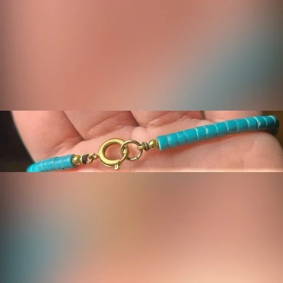 Vintage Turquoise Spiny Shell Bead Native American Heshi Beaded Necklace 23” - Picture 5 of 11